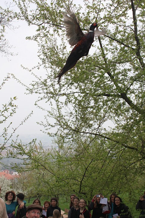IMG_5927_480x721